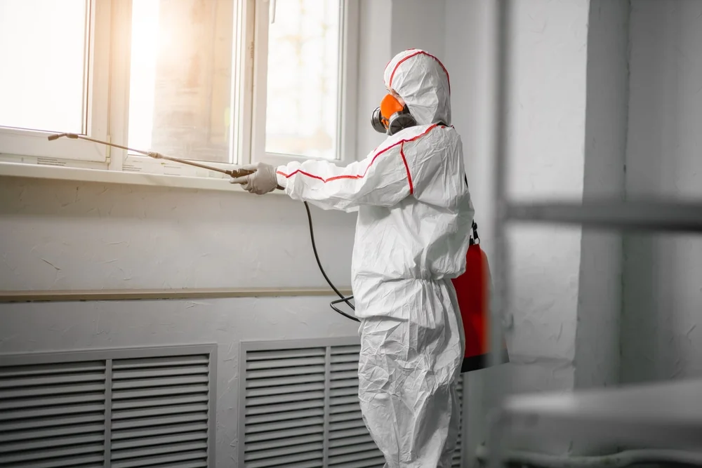 Professional mold remediation services in Leetonia, OH